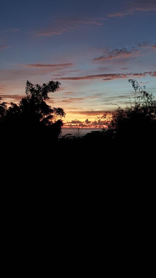 Appartamento Casa Alegria Friar'S Bay La Savane Esterno foto